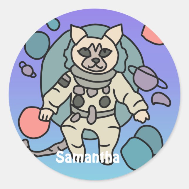 Astronaut minimalist cat in space | Funny & Cute Classic Round Sticker (Front)