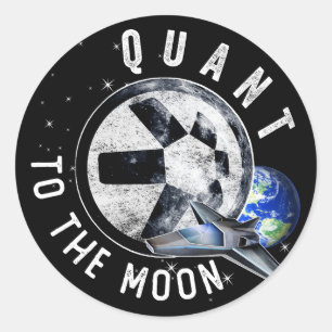 Astronaut Skate Quant QNT Crypto Coin HODL Token T Classic Round Sticker