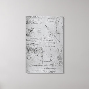 Astronomical diagrams, from the Codex Canvas Print