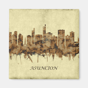 Asuncion Paraguay Cityscape Magnet
