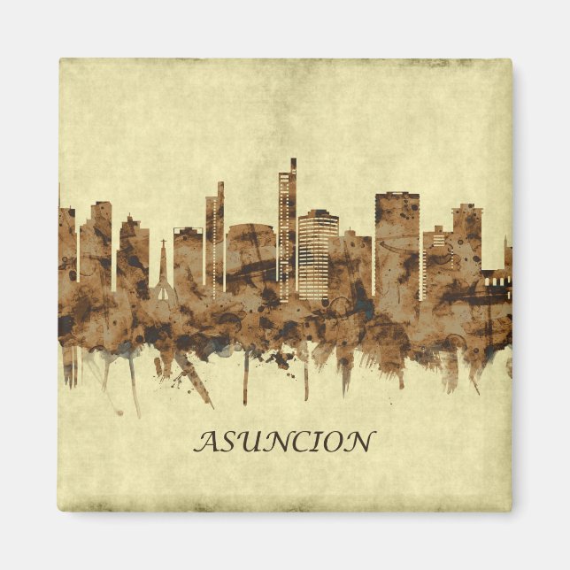 Asuncion Paraguay Cityscape Magnet (Front)