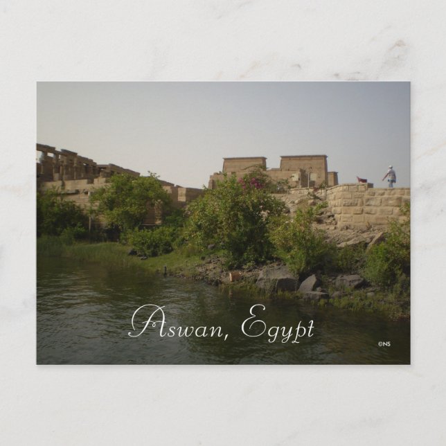 Aswan, Egypt Postcard (Front)