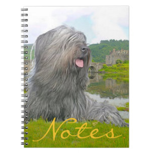 At Eilean Donan Notebook