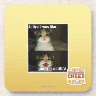 At first I was like Coaster