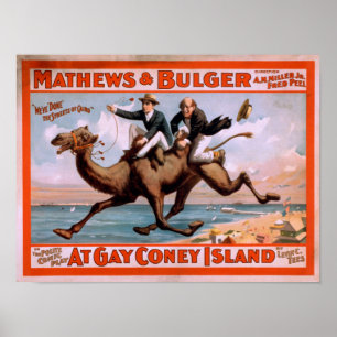 "At gay Coney Island" Musical Comedy Poster #4