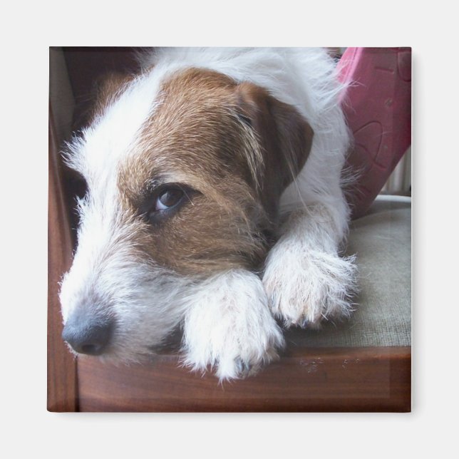 At home on Sunday Magnet (Front)