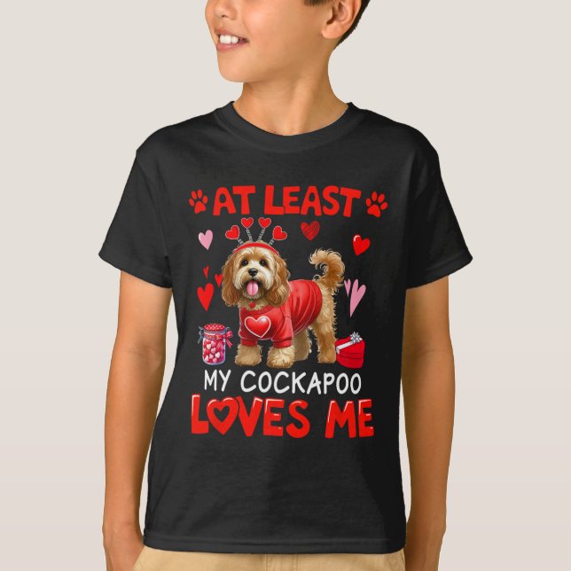At Least My Apoo Loving Me Valentine's Single Owne T-Shirt (Front)