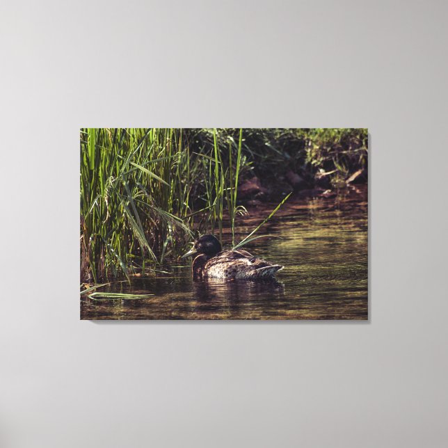 At Pond's Edge Canvas Print (Front)