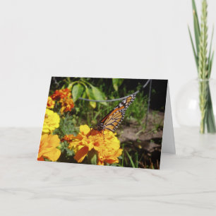 "At Rest" Get Well Card