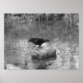 At the Creek Poster