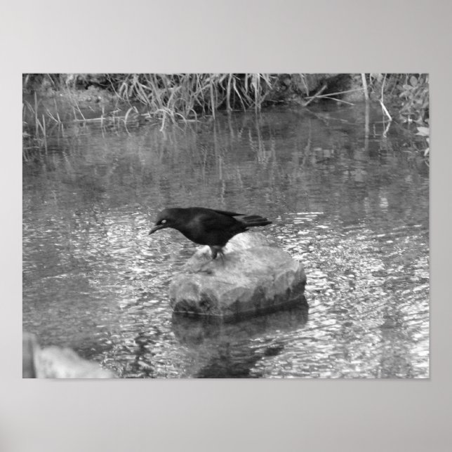 At the Creek Poster (Front)