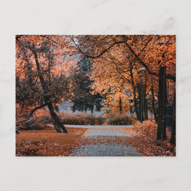 AT THE FEET OF AUTUMN POSTCARD (Front)