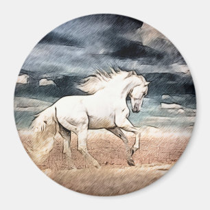 at the gallop magnet