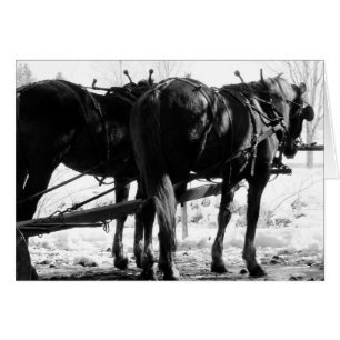 At the Hitching Post