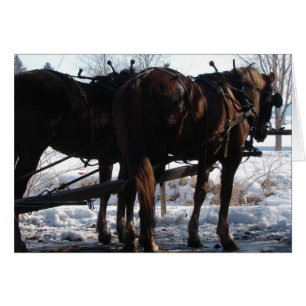 At the Hitching Post