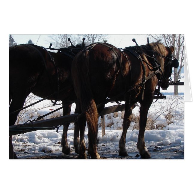 At the Hitching Post (Front Horizontal)