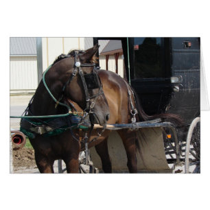 At the Hitching Post