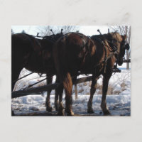 At the Hitching Post