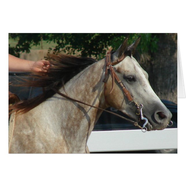 At the Horse Show (Front Horizontal)