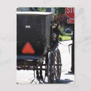 At the Stop Sign, An amish horse Postcard