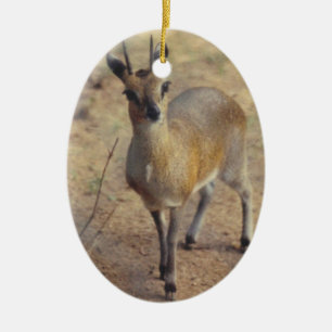 At the Zoo - Ornament