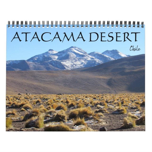 atacama desert 2026  calendar (Cover)
