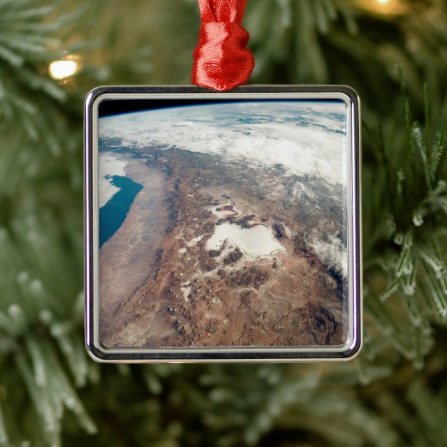 Atacama Desert And Salt Flats In The Andes Metal Tree Decoration (Tree)