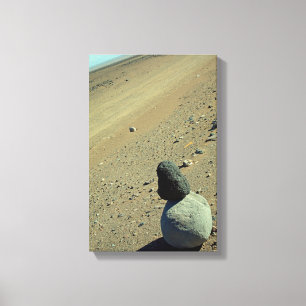 Atacama Desert Canvas Print