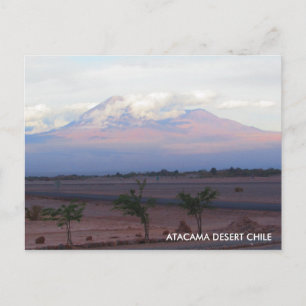 Atacama Desert, Chile Postcard