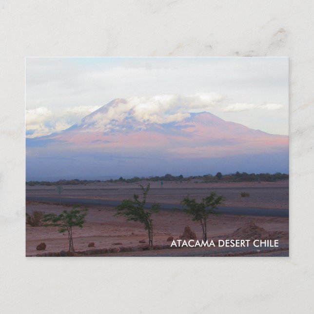 Atacama Desert, Chile Postcard (Front)