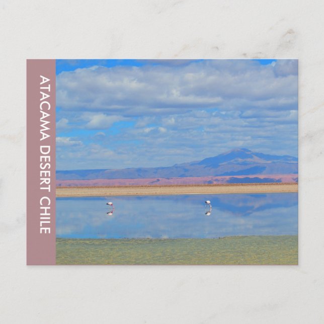 Atacama Desert, Chile Postcard (Front)