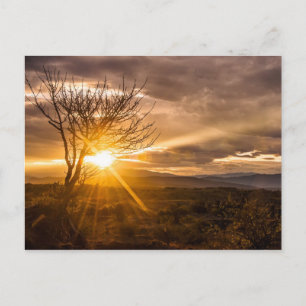 Atardecer en el desierto Tatacoa Postcard