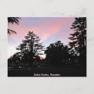 Atascadero Sunken Gardens at Sunset Postcard