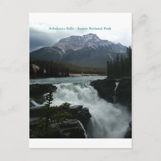 Athabasca Falls Jasper National Park Postcard (Front)