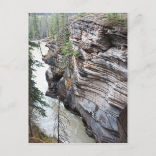 Athabasca Falls Postcard