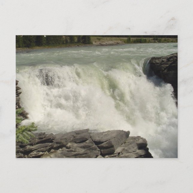 Athabasca Waterfalls in Alberta Postcard (Front)
