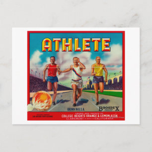 Athlete Brand Citrus Crate Label Postcard