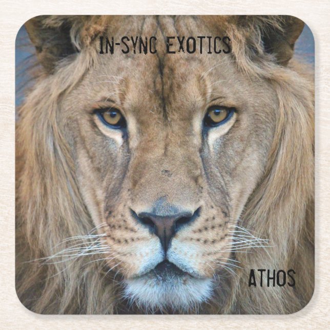 Athos - square paper coaster (Front)