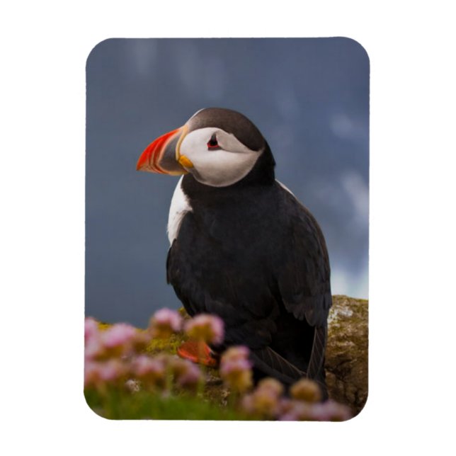 ATL PUFFIN MAGNET (Vertical)