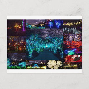 Atlanta Botanical Garden Lights Postcard