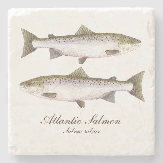Atlantc Salmon Coaster (Front)