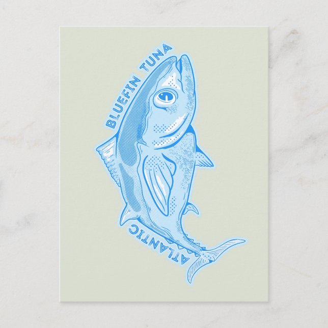 Atlantic bluefin tuna postcard (Front)