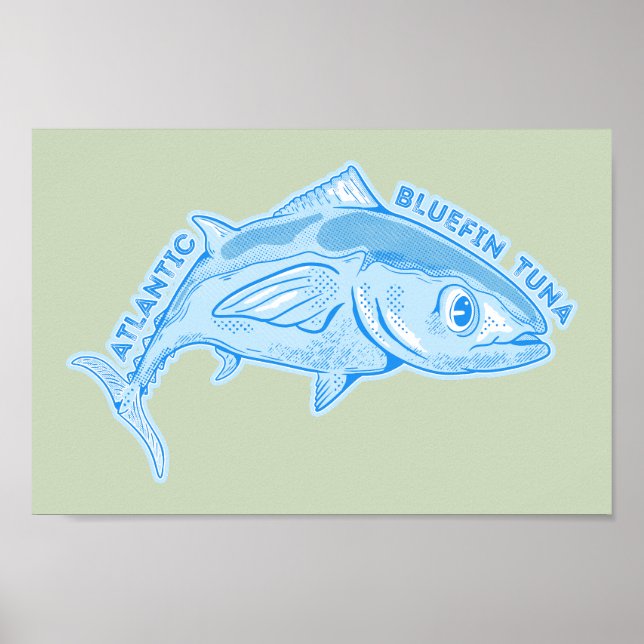 Atlantic bluefin tuna poster (Front)