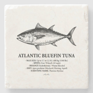 Atlantic Bluefin Tuna Scientific Illustration Stone Coaster