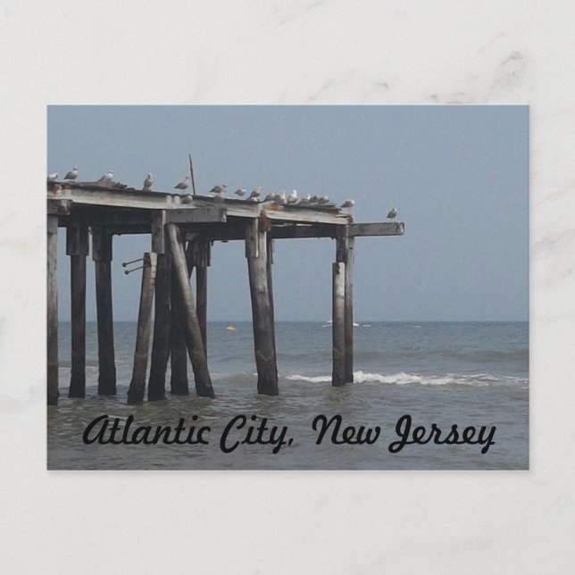 Atlantic City Beach with Birds Postcard (Front)