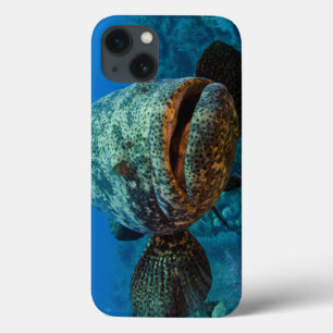 Atlantic Goliath Grouper iPhone 13 Case