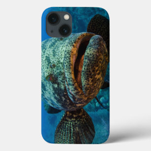 Atlantic Goliath Grouper iPhone 13 Case