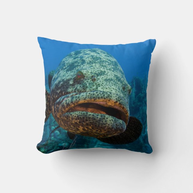 Atlantic Goliath Grouper Cushion (Front)