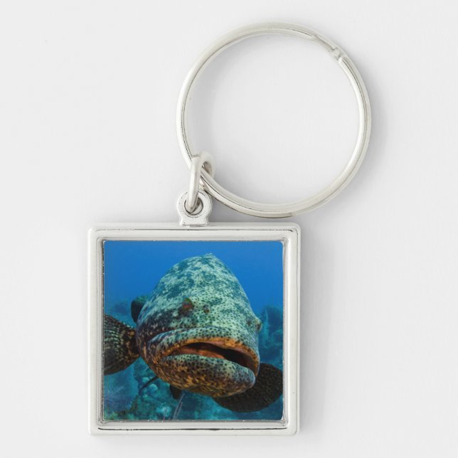 Atlantic Goliath Grouper Key Ring (Front)