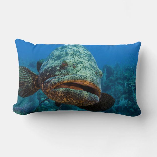 Atlantic Goliath Grouper Lumbar Cushion (Front)